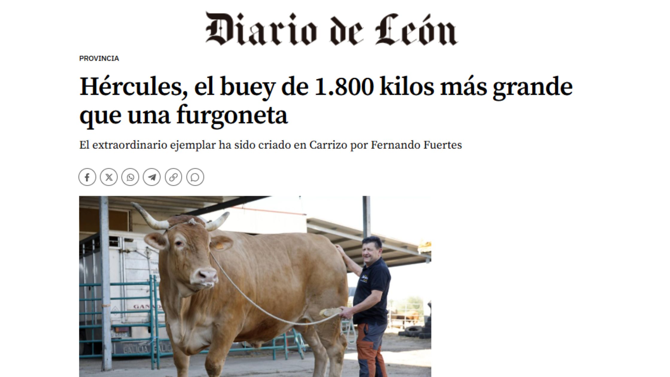 chuleta de ternera